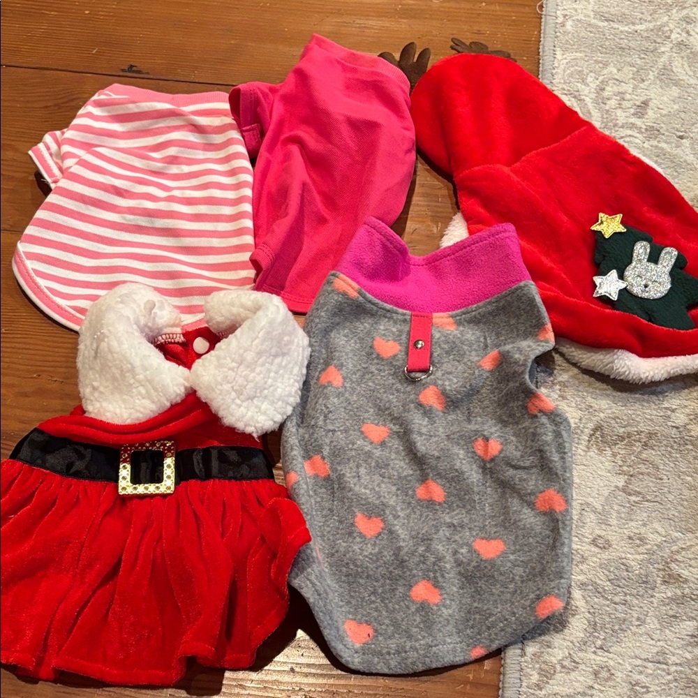 5 small/medium dog clothes